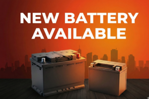 Gemini_Generated_Image_x8ema8x8ema8x8em